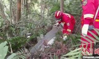 梧州回应MU5735坠落 梧州回应MU5735坠落