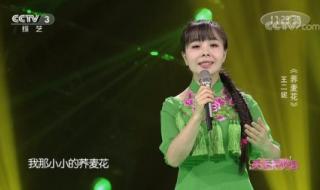 王二妮歌曲